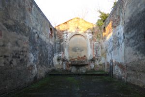 20210120174924_IMG_0664